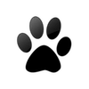 Captcha image 1833